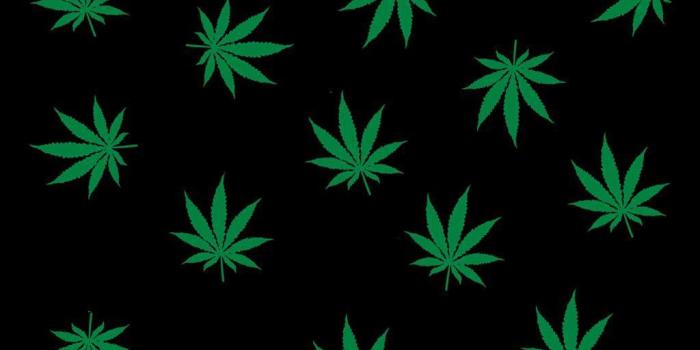 1024x768 Weed Wallpapers And Themes For Computer