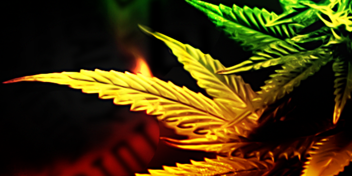 1080x1920 Weed Wallpapers. Download Weed Pics for Free