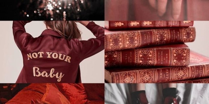 736x1104 Harry Potter Gryffindor Aesthetic, Hd Wallpapers