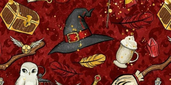 720x1280 Wallpaper Grifinoria Harry Potter discovered by Sara