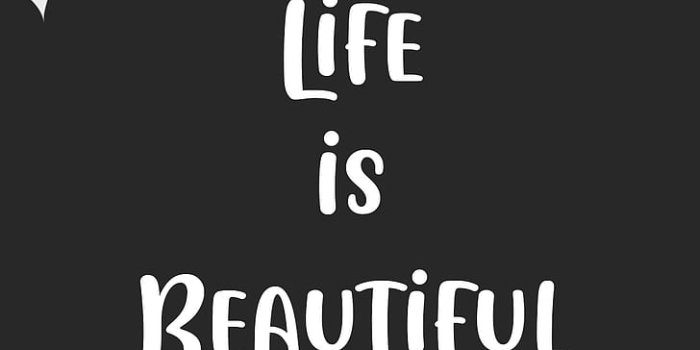 728x1294 HD wallpaper: quote, flowers, typography, minimalism, lil