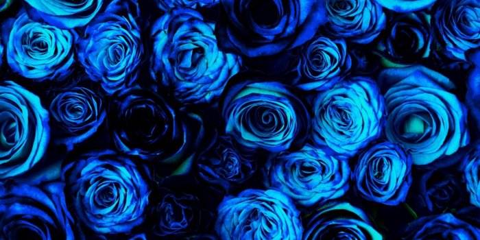 1920x1080 23 Calming and Beautiful Blue Wallpapers - WPSnow