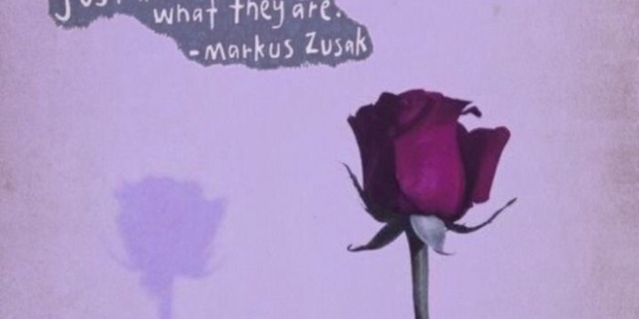 719x1280 Purple Aesthetic Locks 