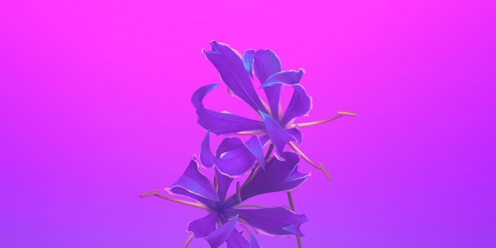 3840x2400 Purple 4K wallpaper