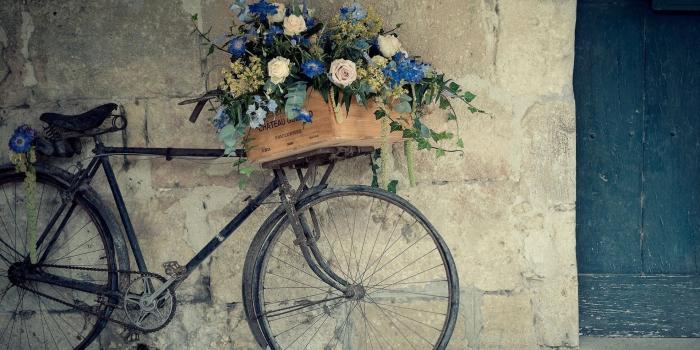 748x1330 vertical, Flowers Wallpapers HD / Desktop and Mobile Backgrounds