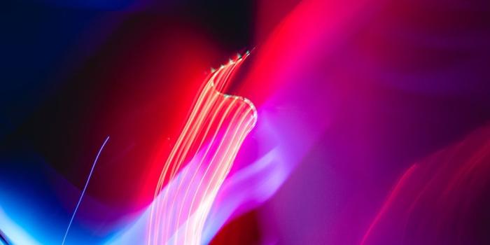 1000x1500 Neon Wallpapers: Free HD Download [500+ HQ] | Unsplash