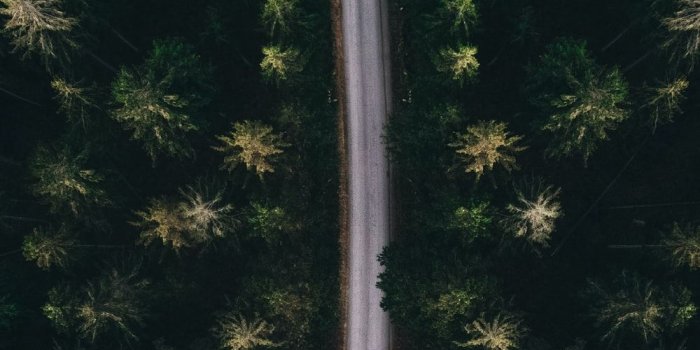 1000x1250 Apple Wallpapers: Free HD Download [500+ HQ] | Unsplash