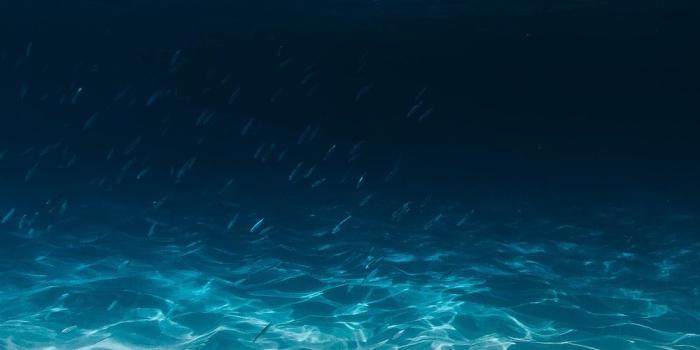 1000x1250 Ocean Wallpapers: Free HD Download [500+ HQ] | Unsplash