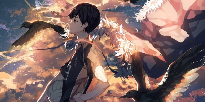 1920x1080 Haikyuu Tobio Kageyama Crow Anime wallpaper | 1920x1080 | 1079475