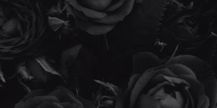 736x1310 List of Great Black Wallpaper for iPhone This Month | Black