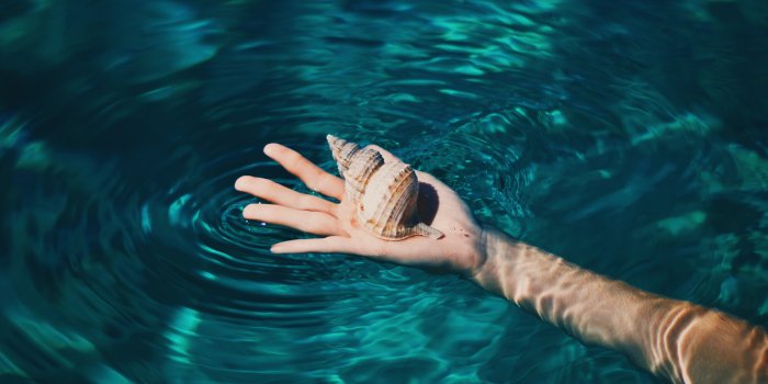 5991x4000 Desktop Wallpapers: Free HD Download [500+ HQ] | Unsplash