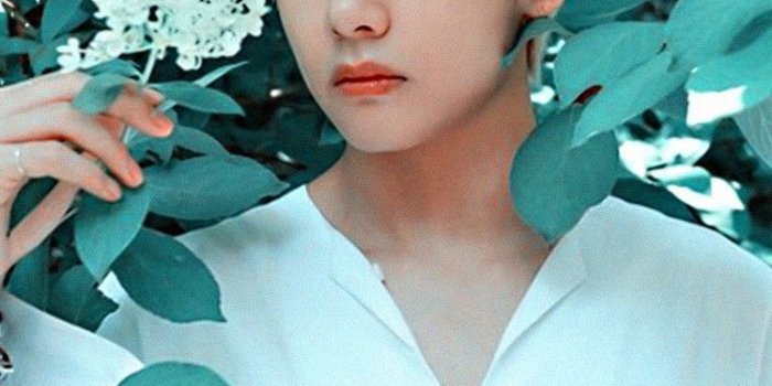 750x1334 V BTS Bangtansonyeondan wallpaper home screen lockscreen Kpop