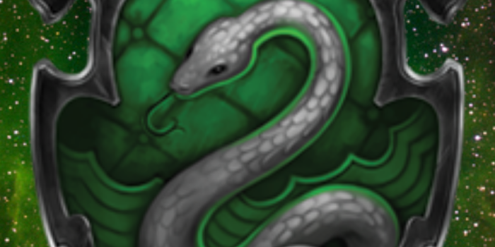905x1438 its harry potter day at school,slytherin pride (With images