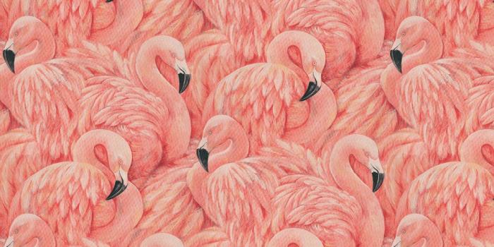 1000x1000 Flamingos by Albany - Pink - Wallpaper : Wallpaper Direct