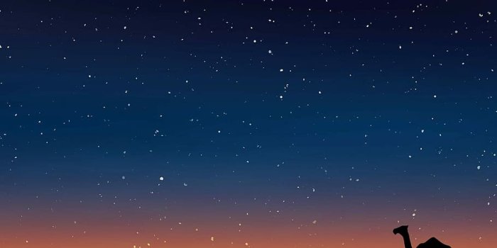 910x910 HD wallpaper: Camel under the stars in Egypt, photos, night