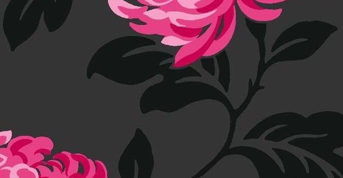 676x1200 Flowers black hot pink fuschia | Fondos de colores, Calaveras