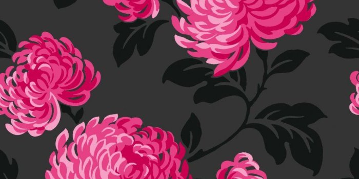 1000x1000 46+] Pink And Black Flower Wallpapers on WallpaperSafari