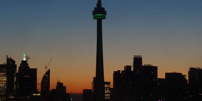 910x1213 HD wallpaper: Toronto, Canada, Night, Skyline, cn tower, downtown