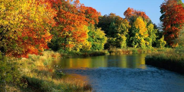 1600x1200 Download wallpaper 1600x1200 ontario, canada, trees, river, coast