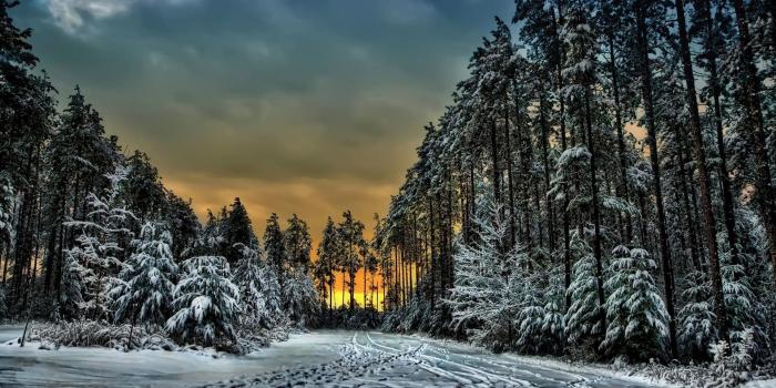 1920x1200 Canada, Ontario, winter, snow, footprints, trees, sunset wallpaper