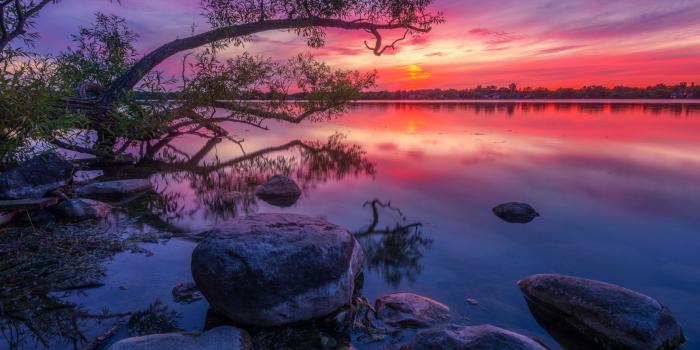 1920x1440 Wilcox Lake Ontario Canada Red Sunset Dusk Wood Willow Stone