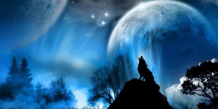 1024x768 Black Wolf Howling Wallpapers - Top Free Black Wolf Howling