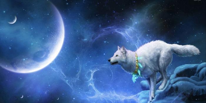 1920x1080 74+ Howling Wolf Wallpapers on WallpaperPlay