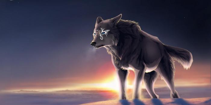 1920x1080 Wolf Howling Wallpaper Desktop Desktop Hd Howling Wolf Images
