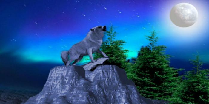 1920x1080 Wolf Howling At The Moon Wallpapers Group (41+)