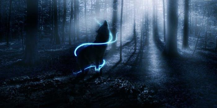 1920x1080 Wolf Howling at The Moon Wallpaper ·① WallpaperTag