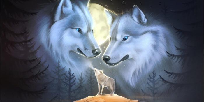 1332x850 Wallpaper animals, night, art, wolves, howl images for desktop