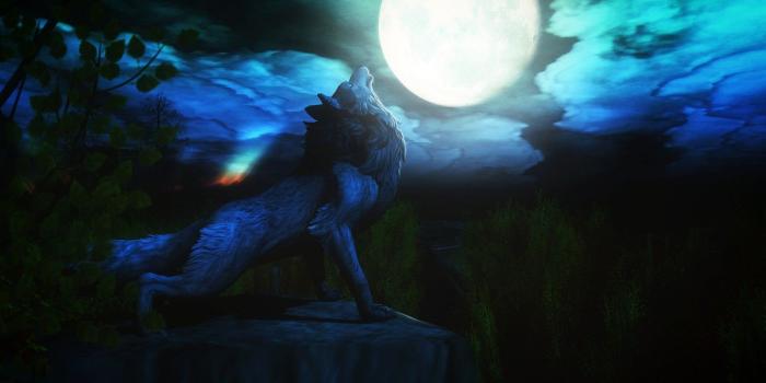 1332x850 Photo Wallpaper Night, The Moon, Wolf, Howl - Wallpaper - 1332x850