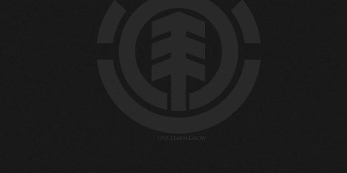 1024x768 Element Skateboards Wallpapers Desktop Background