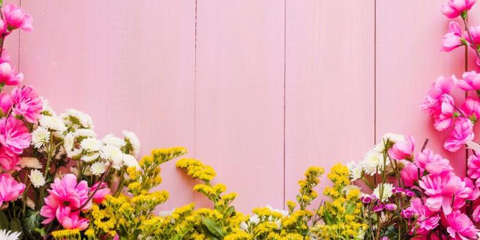 1332x850 Photo Wallpaper Flowers, Background, Pink, Pink, Flowers