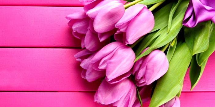 1545x987 Flowers Tulips Pink Spring Hd Wallpaper | All Wallpapers Desktop