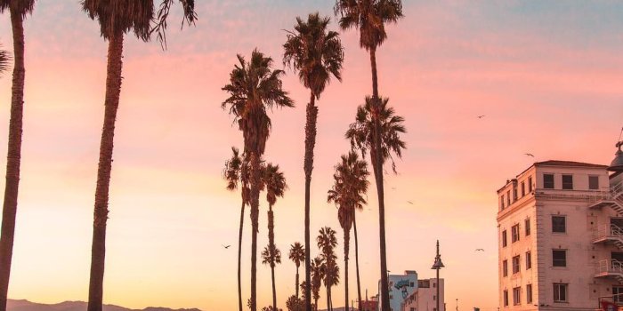 1080x1350 Pink sunset at Venice Beach, Los Angeles, California