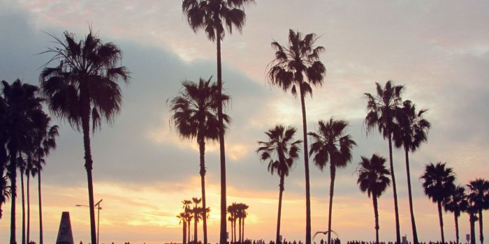 1718x1288 Venice Beach Sunset Wallpapers - Top Free Venice Beach Sunset
