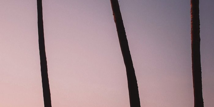 1125x2436 Sunsets in Venice Beach are like ketchup to your f... iPhone X