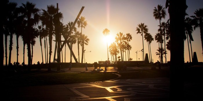 1332x850 Wallpaper summer, california, sunset, los angeles, palm, venice