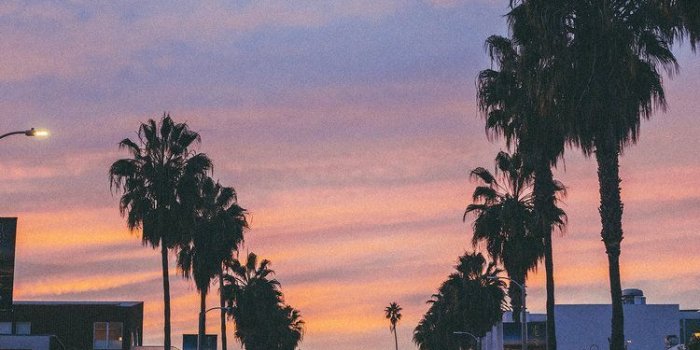 750x1125 51+] Venice California Wallpaper on WallpaperSafari