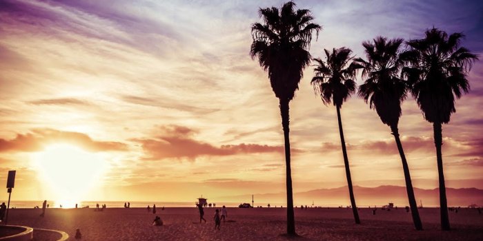 1280x720 Venice Beach California Wallpaper-1TI8C68.jpg - Picserio.com