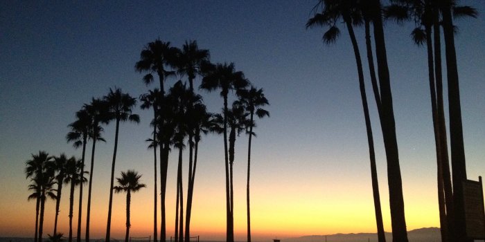 3264x2448 Venice Beach in August | Oranges and Avocados