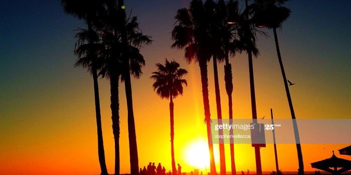1024x768 Usa California Los Angeles Venice Beach At Sunset High-Res Stock