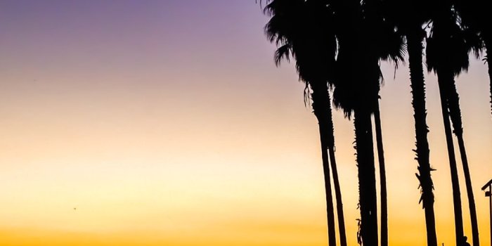 1024x768 An Evening in Venice Beach, Bohemian Los Angeles Neighborhood