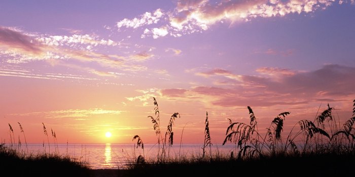 1920x1080 Sea, sunset, grass, Venice Beach, Florida, USA 640x1136 iPhone 5