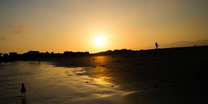 1920x1080 Venice Beach wallpaper in 1920x1080 resolution