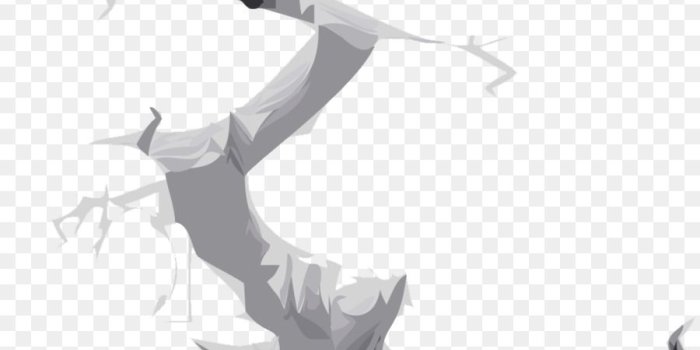 900x1120 White Background png download - 916*1123 - Free Transparent