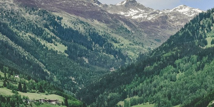 1242x2208 nm88-summer-mountain-town-nature-green-swiss