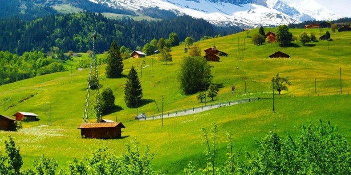1080x1920 Switzerland, mountains, glacier valley, grass, wildflowers, house