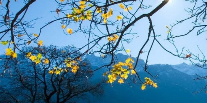 750x1334 Autumn Schachental Switzerland iPhone 6 Wallpaper HD - Free